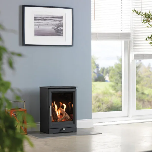 Paragon Edge Balanced Flue