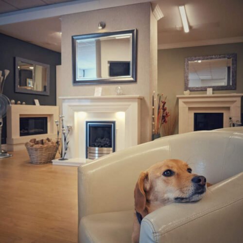 Fires & Fireplaces Showroom