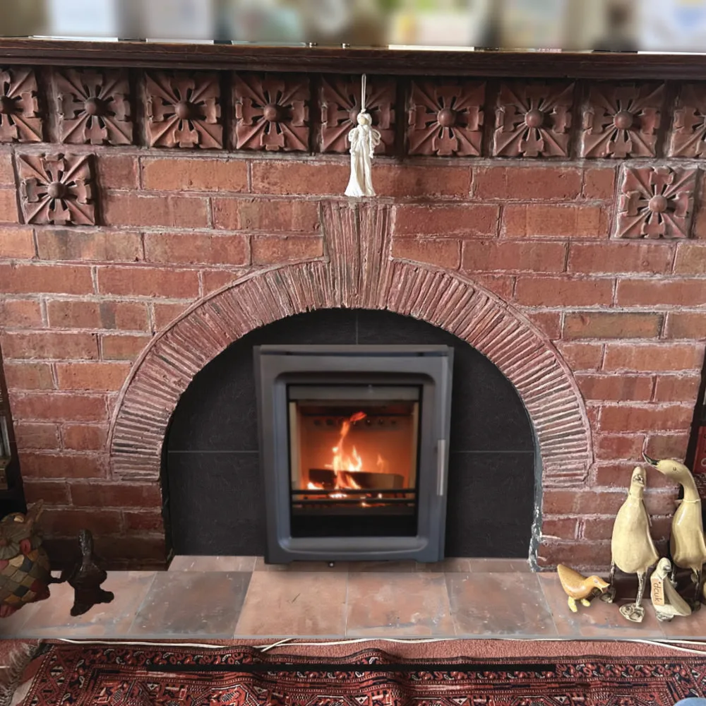Purevision BPV5i 5kW Multi Fuel Inset Stove