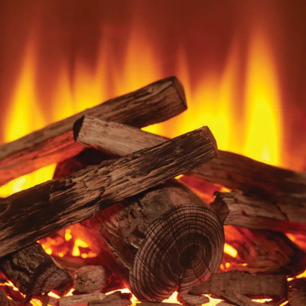 SLE42s Electric Stove fuel bed